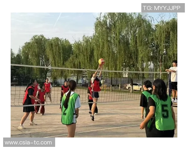 西安排球队逆袭之旅揭秘挑战赛背后的奋斗与荣耀