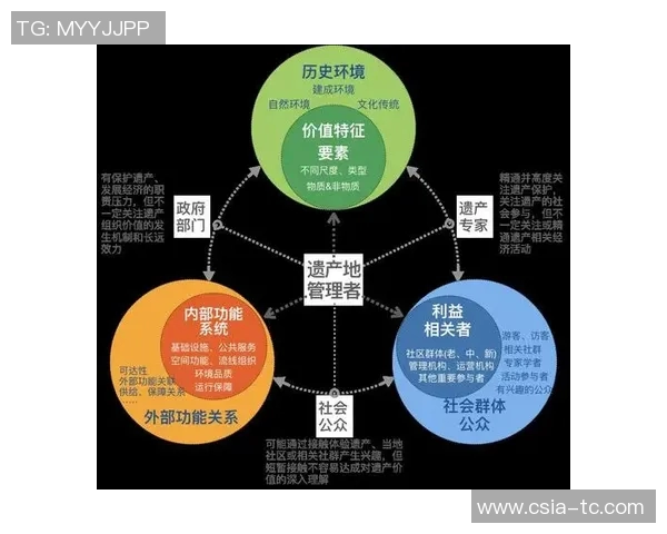 全球足球明星影响力与公众认知的深度探讨与分析